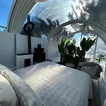 Skd Casa Amarilla Rivera *